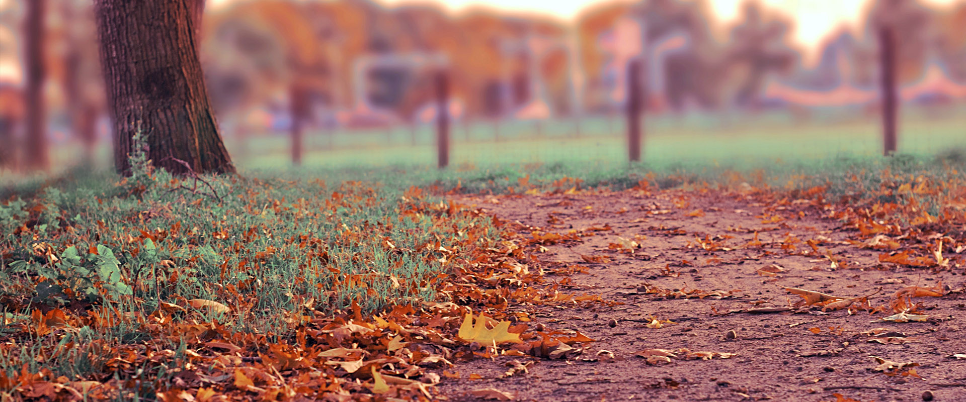 电话网页在线轰炸源码