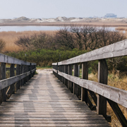 手机号轰在线轰炸