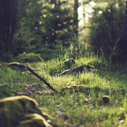 稳定供给的手机号轰炸测试